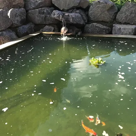 Les Nuits Insolites De La Mothe - En Bulle Ou Tiny House Avec Privatif