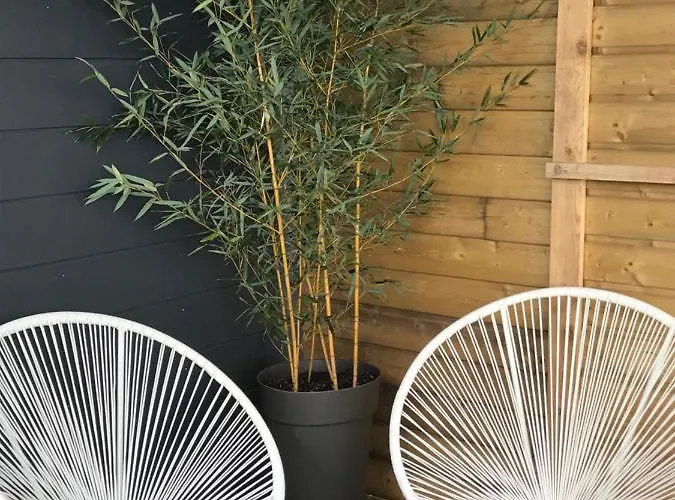 Les Nuits Insolites De La Mothe - En Bulle Ou Tiny House Avec Privatif Bed & Breakfast Outremecourt